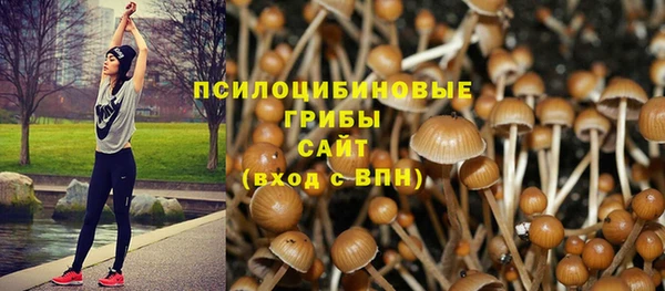 крисы Наволоки