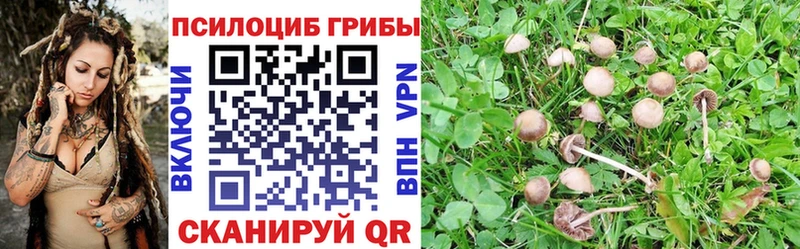 Псилоцибиновые грибы GOLDEN TEACHER  блэк спрут ONION  Большой Камень 