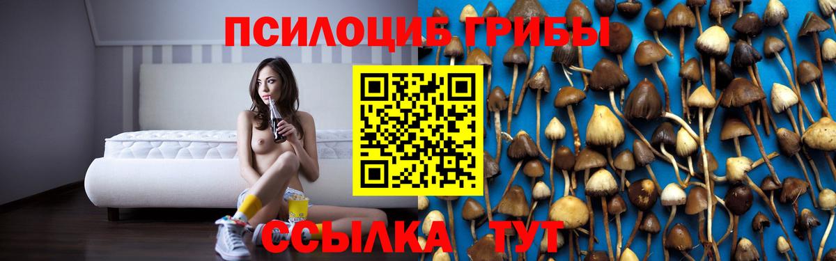 Галлюциногенные грибы MAGIC MUSHROOMS  Вход с VPN  Большой Камень 
